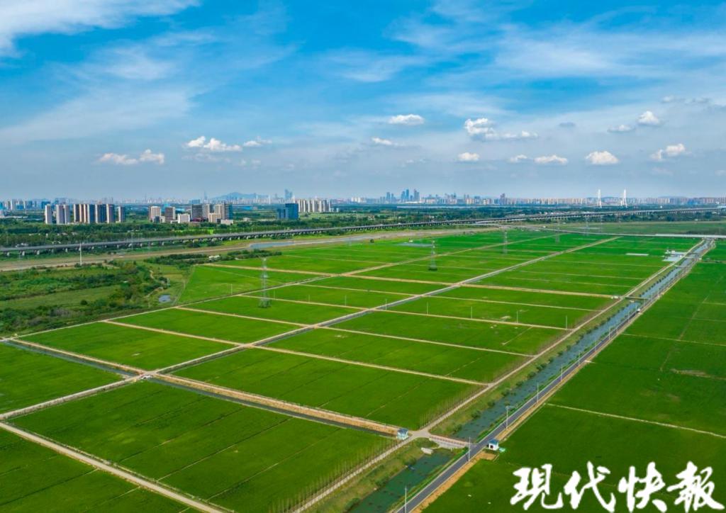 南京浦口科技赋能，打造农业现代化新模式